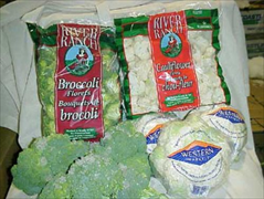 Food Service Broccoli Florets or Cauliflower Florets.