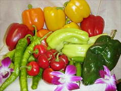 We have the largest assortment of Hot or Sweet Peppers.