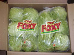 We offer Foxy Clean and Trim Lettuce contract pricing.