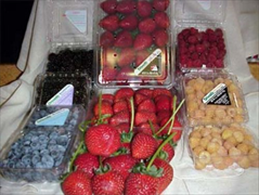 The Sweetest California Berries, Fresh Raspberries, Fresh Blackberries, Fresh Blueberries, Golden Raspberries or try some of our Gourmet Stem Berries for that special occasion.