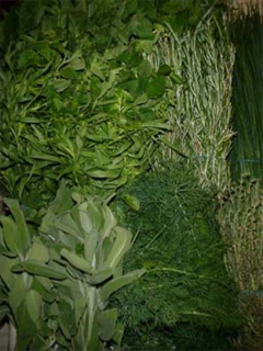 Our Fresh Herbs are flown in fresh daily from the best growers in the country, available by the pound or the bunch.